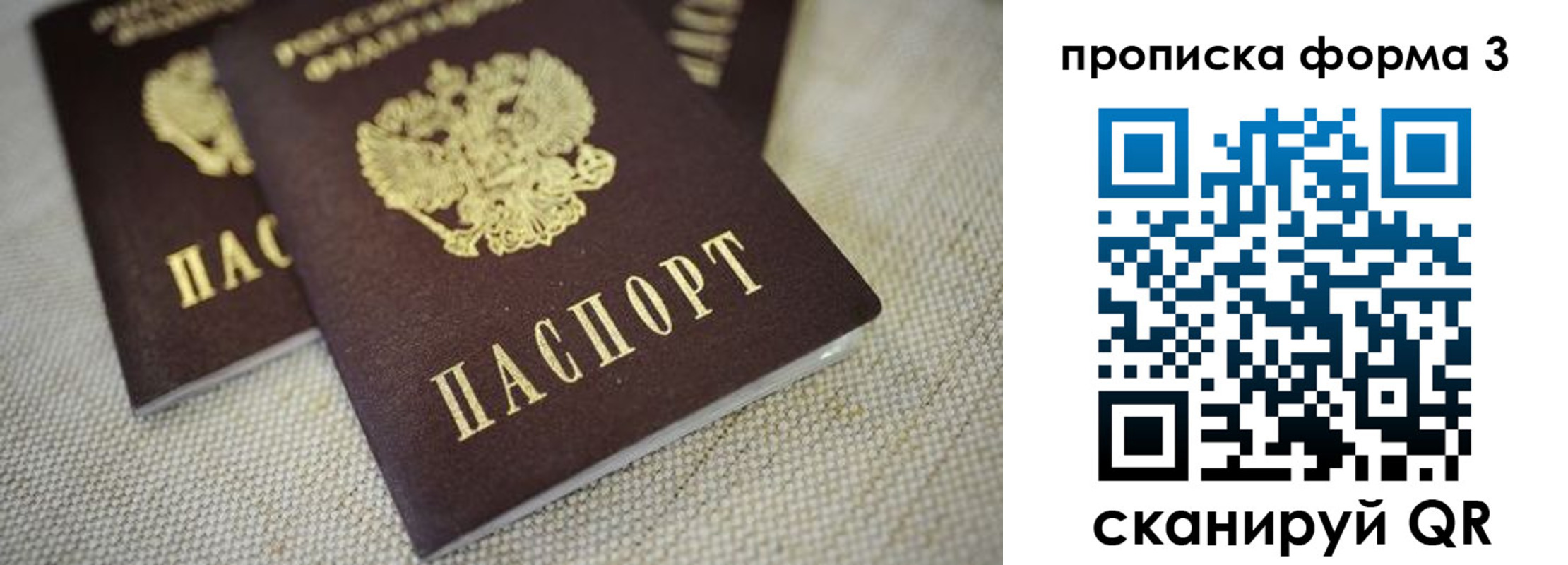 прописка поиск в Купино