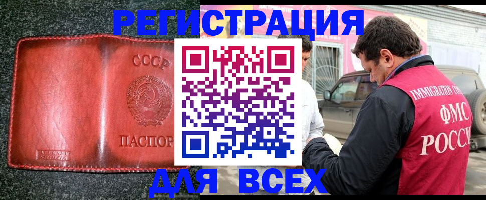 прописка в Купино